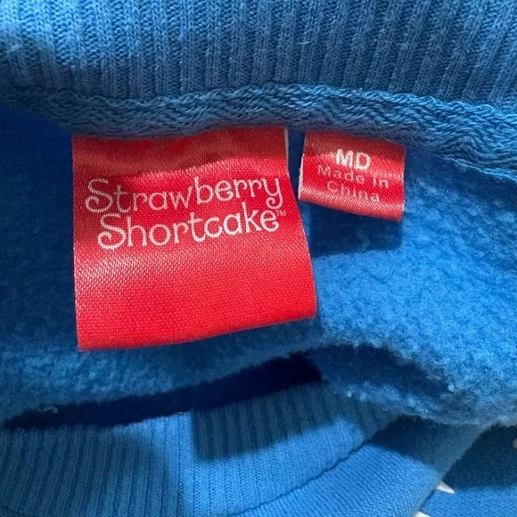 Blue Strawberry Shortcake Sweatshirt Crewneck Relaxed Cozy Fit - Picture 7 of 9
